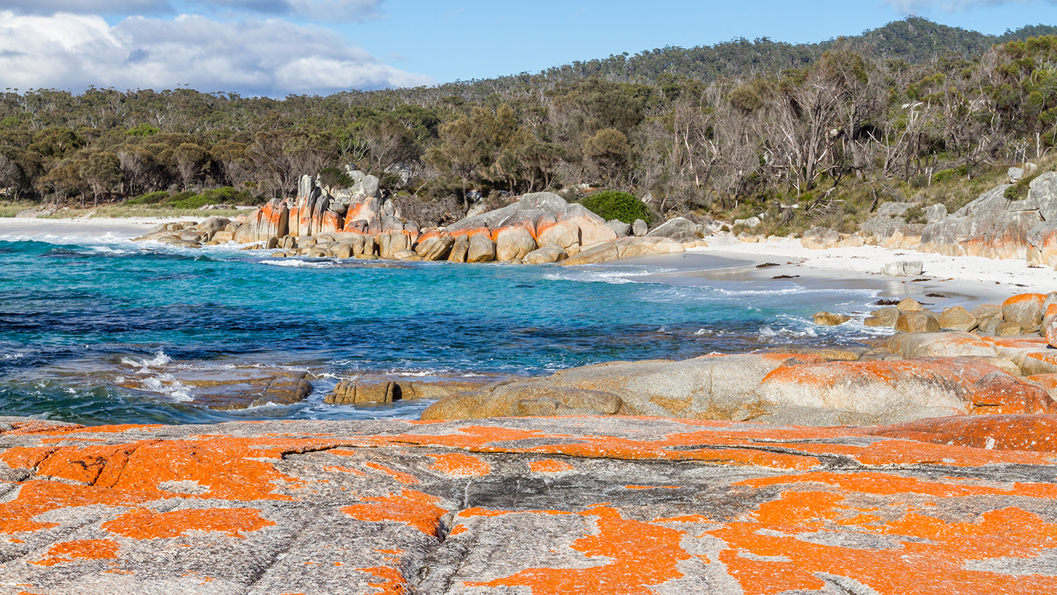 un été australien tasmanie tasmania australie bay of fires