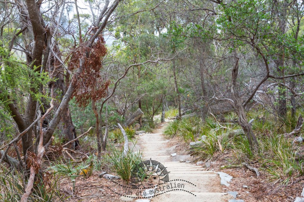 Le Freycinet park en Tasmanie