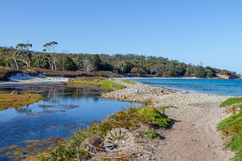 l'île de Maria Island en Tasmanie