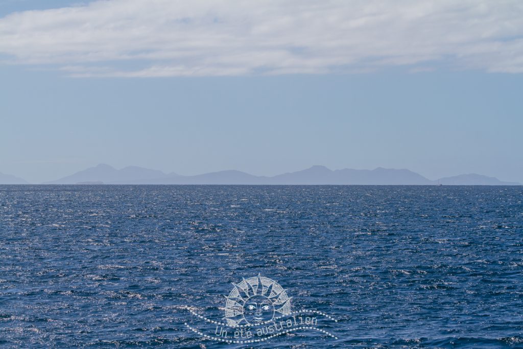 l'île de Maria Island en Tasmanie