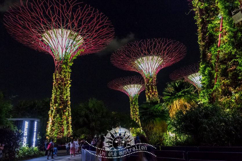 un été australien australie voyage singapour marina bay garden by the bay