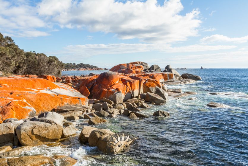 un été australien tasmanie tasmania australie bay of fires