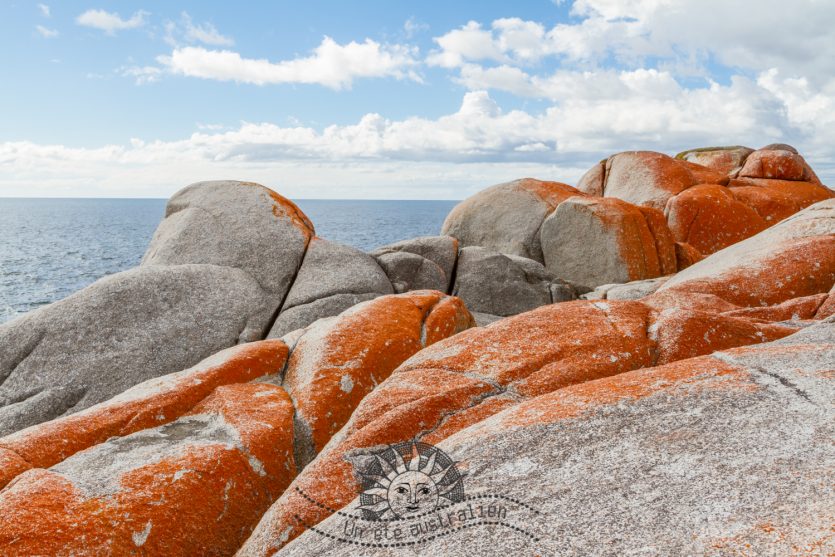un été australien tasmanie tasmania australie bay of fires