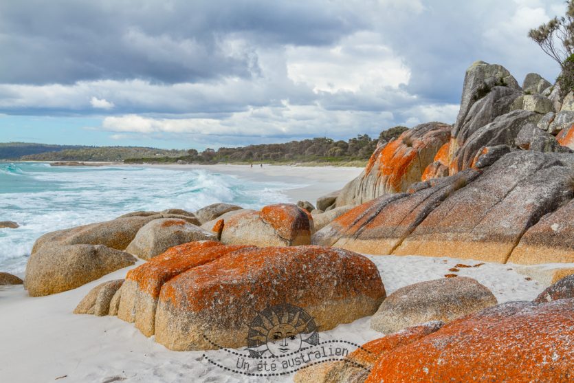 uneteaustralien_tasmania-25